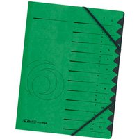 HERLITZ 10843332 Ordnungsmappe 1-12 Colorspan grün HERLITZ 10843332 Ordnungsmappe 1-12 Colorspan grün von Herlitz