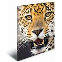 HERMA 10006222 Sammelmappe Lieblingstiere A4 PP - Leopard HERMA 10006222 Sammelmappe Lieblingstiere A4 PP - Leopard von Herma
