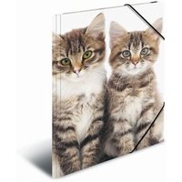 HERMA 10006223 Sammelmappe Lieblingstiere A4 PP - Katzen von Herma