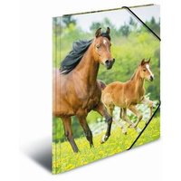HERMA 10006225 Sammelmappe Lieblingstiere A4 - Pferde HERMA 10006225 Sammelmappe Lieblingstiere A4 - Pferde von Herma