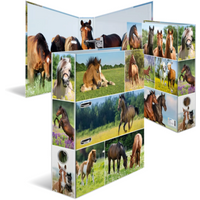 HERMA 19251 Motiv-Ordner A4 Animals Pferdewiese von Herma