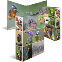 HERMA 19254 Motiv-Ordner A4 Animals Heimatvögel von Herma
