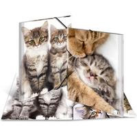 HERMA 7143 Sammelmappe A3 Katzen von Herma
