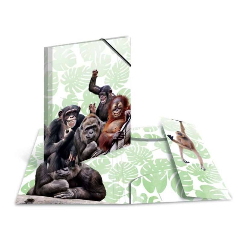 HERMA Sammelmappe A3 mit Motiven, HERMA Motive Affenbande von Herma
