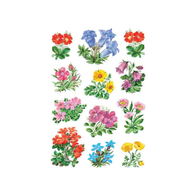HERMA Sticker, Themenwelten Natur, HERMA Motive Gebirgsblumen von Herma