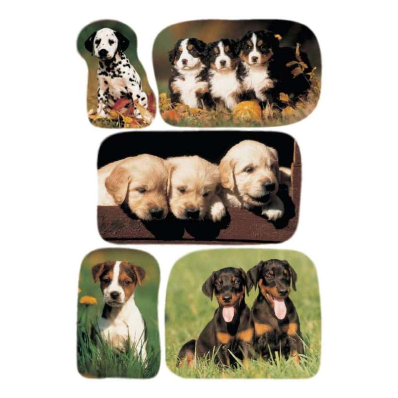 HERMA Sticker, Themenwelten Tiere, HERMA Motive Hundewelpenfotos von Herma