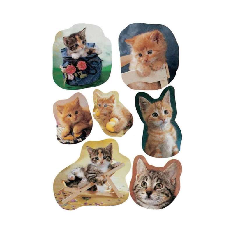 HERMA Sticker, Themenwelten Tiere, HERMA Motive fotogene Kätzchen von Herma