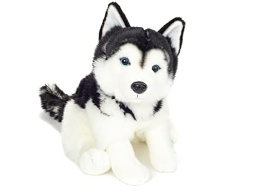 Teddy Hermann 91976 Husky Hund sitzend 30 cm, Kuscheltier, Plüschtier mit recycelter Füllung von Hermann Teddy