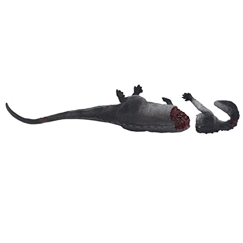 Hethlif Dinosauriermodell, Dinosaur Corpse Figurine Dinosaur Corpse Model mit PVC -materieller Lebensechtiger Einzigartiger Prähistorischer Tierischer Dinosaurier -Figur Spielzeugkollektion für von Hethlif
