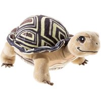 HEUNEC 620278 Schule der magischen Tiere Schildkröte Henrietta 16cm HEUNEC 620278 Schule der magischen Tiere Schildkröte Henrietta 16cm von Heunec