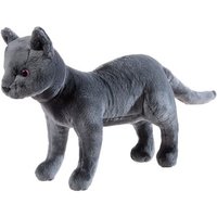 HEUNEC 621169 Schule der magischen Tiere Kater Karajan, 30 cm von Heunec