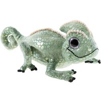 Schule der magischen Tiere Chamäleon Caspar von Heunec