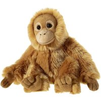 Heunec - Misanimo Orang Utan Heunec - Misanimo Orang Utan von Heunec