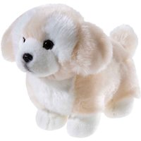 Heunec - Misanimo Short Legs Club Terrier von Heunec