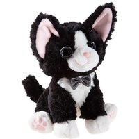 MISANIMO Katze Devon Rex von Heunec