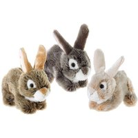 Plüsch Misanimo Hase liegend beige grau braun 3fach sortiert Plüsch Misanimo Hase liegend beige grau braun 3fach sortiert von Heunec