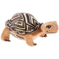 SDMT Schildkröte GRS Henrietta klein von Heunec