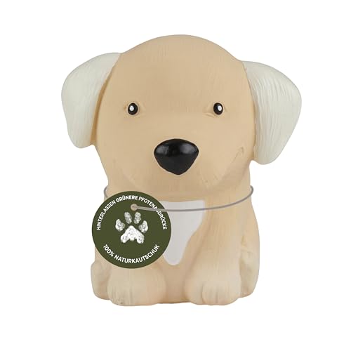 Hevea Hunde-Kauspielzeug aus der Golden Retriever-Rasse-Kollektion – Beißspielzeug aus Naturkautschuk für Welpen, kleine, mittelgroße und große Hunde – Lindert Zahnfleischschmerzen Hevea Hunde-Kauspielzeug aus der Golden Retriever-Rasse-Kollektion – Beißspielzeug aus Naturkautschuk für Welpen, kleine, mittelgroße und große Hunde – Lindert Zahnfleischschmerzen von Hevea