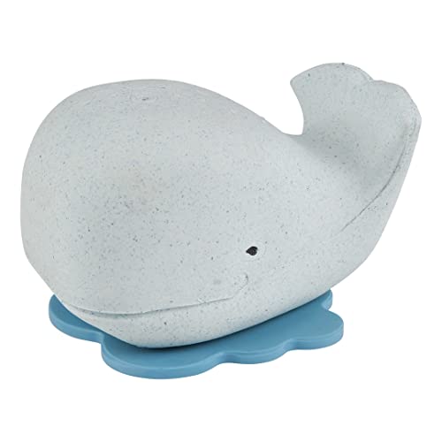 HEVEA Drücken und Spritzen Wal Badewannenspielzeug - 100% Naturkautschuk Baby Badespielzeug - Perfekt für Spielen, Pool und Baden (Blizzard Blau) von Hevea