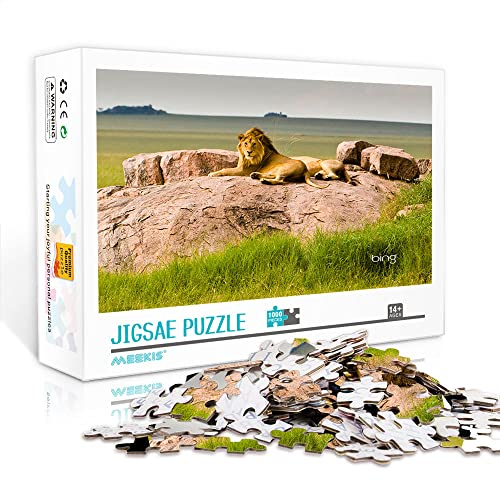 1000 Teile Mini-Puzzle für Erwachsene Löwe Klassisches Puzzle Herausforderndes Spiel DIY-Geschenk (38 x 26 cm Kartonpuzzle) Puzzles für Erwachsene und Kinder von Heyazc