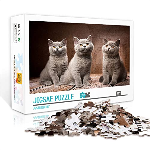 1000 Teile Minipuzzle für Erwachsene Katze Klassisches Puzzle Dekompressionspuzzle Spaßspiel DIY Geschenk (38x26cm Kartonpuzzle) Puzzles für Erwachsene und Kinder von Heyazc