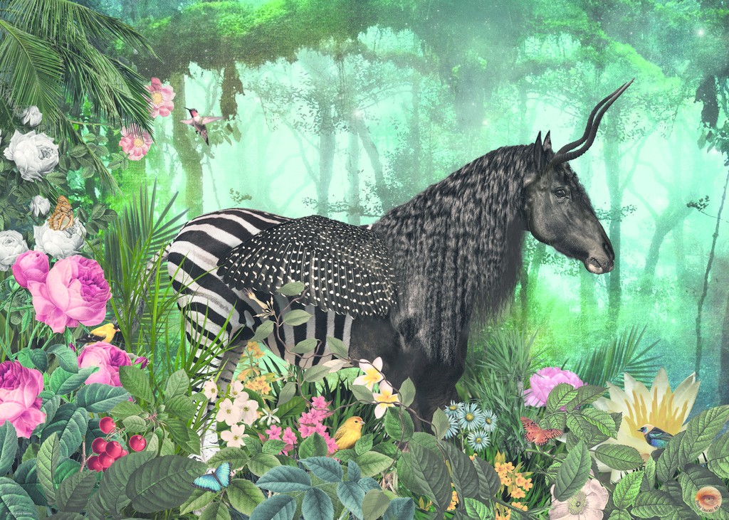 Heye Equpidae 1000 Teile Puzzle Heye-29980 Heye Equpidae 1000 Teile Puzzle Heye-29980 von Heye