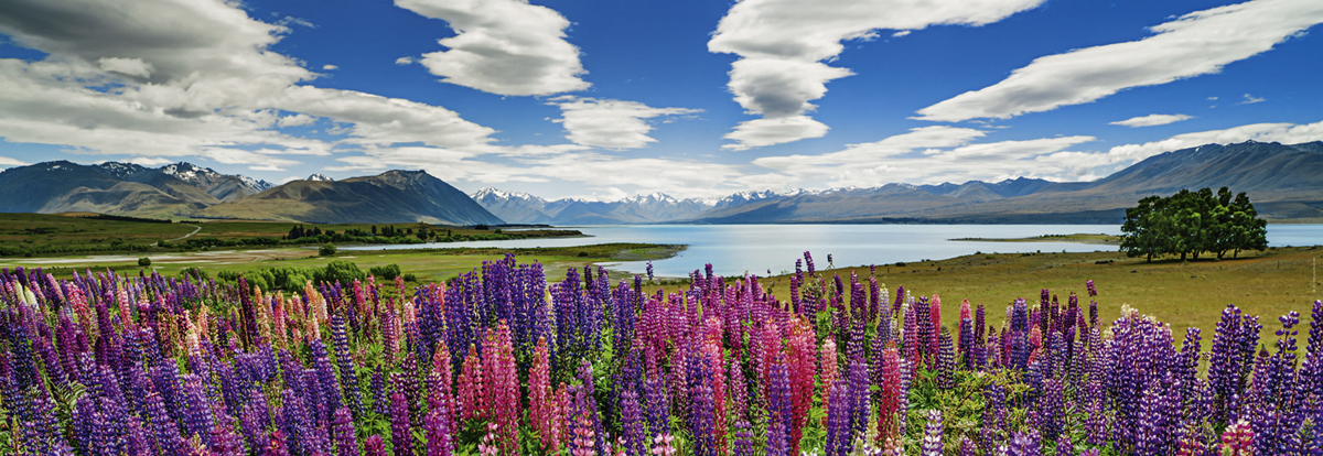 Heye Lake Tekapo 1000 Teile Puzzle Heye-29902 Heye Lake Tekapo 1000 Teile Puzzle Heye-29902 von Heye