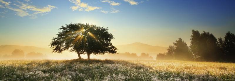 Heye Play of Light 1000 Teile Puzzle Heye-29901 Heye Play of Light 1000 Teile Puzzle Heye-29901 von Heye