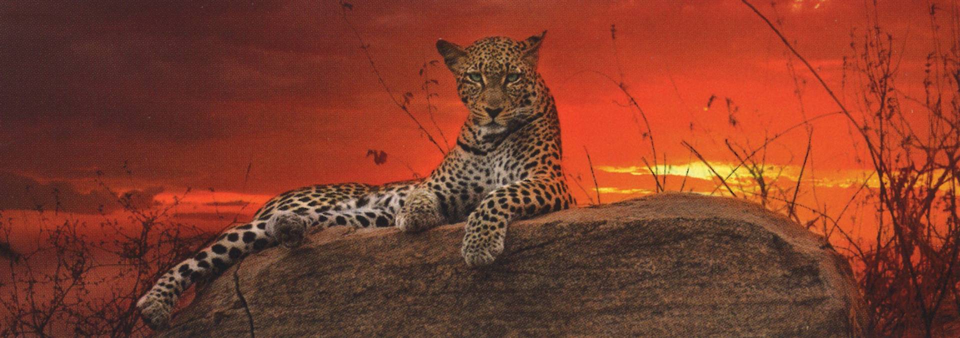 Heye Red Dawn 2000 Teile Puzzle Heye-29608 Heye Red Dawn 2000 Teile Puzzle Heye-29608 von Heye