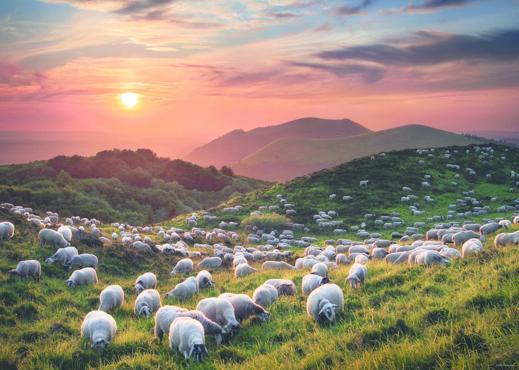 Heye Sheep and Volcanoes 1000 Teile Puzzle Heye-29977 Heye Sheep and Volcanoes 1000 Teile Puzzle Heye-29977 von Heye