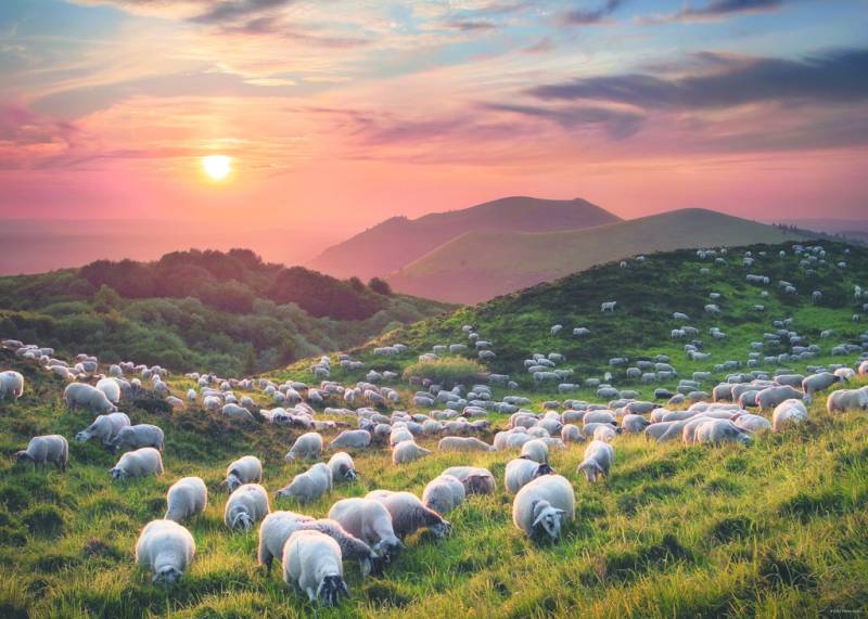 Heye Sheep and Volcanoes 1000 Teile Puzzle Heye-29977 Heye Sheep and Volcanoes 1000 Teile Puzzle Heye-29977 von Heye