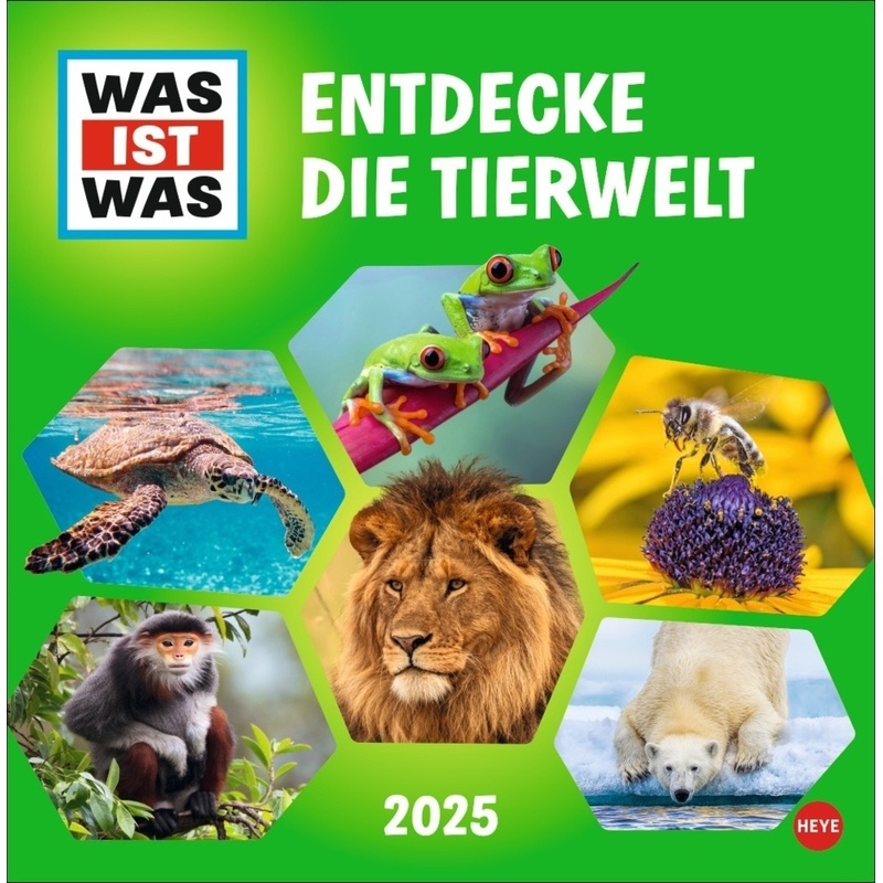 WAS IST WAS Tierwelt Broschurkalender 2025 von Heye