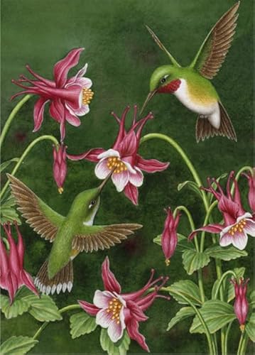 1000 Teile,Animal Hummingbirds,Colourful Abstract Puzzle,Educational Toys Posters Puzzle for Adults,Elderly Memory Games Ya337Qn 1000 Teile,Animal Hummingbirds,Colourful Abstract Puzzle,Educational Toys Posters Puzzle for Adults,Elderly Memory Games Ya337Qn von HfmQuisutron
