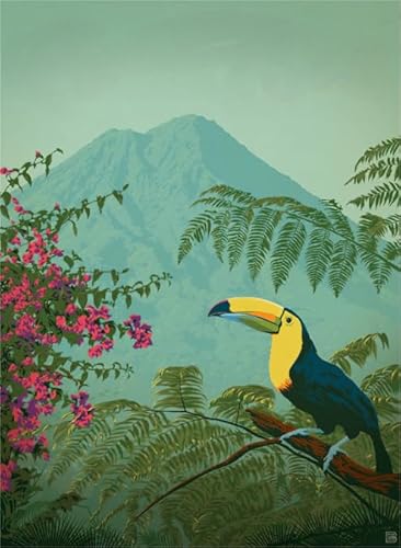Animal Toucanss Art Picture,Puzzles 1000 Teile,Colorful,Abstract Puzzle Puzzle,Familie Dekompression Spiel Erwachsene Alzheimer Geschenke Ya118Qn Animal Toucanss Art Picture,Puzzles 1000 Teile,Colorful,Abstract Puzzle Puzzle,Familie Dekompression Spiel Erwachsene Alzheimer Geschenke Ya118Qn von HfmQuisutron