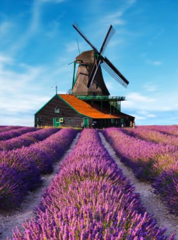 Windmillss Landschaft,Puzzles 1000 Stück,Lernspielzeug Für Kinder,Wand Kunst Dekoration,Puzzles for Elderly Adults,Gedächtnis Erkenntnis Spiele Xd128Zs von HfmQuisutron