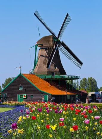 Windmillss Landschaft,Puzzles 1000 Stück,Lernspielzeug Für Kinder,Wand Kunst Dekoration,Puzzles for Elderly Adults,Gedächtnis Erkenntnis Spiele Xd131Zs von HfmQuisutron