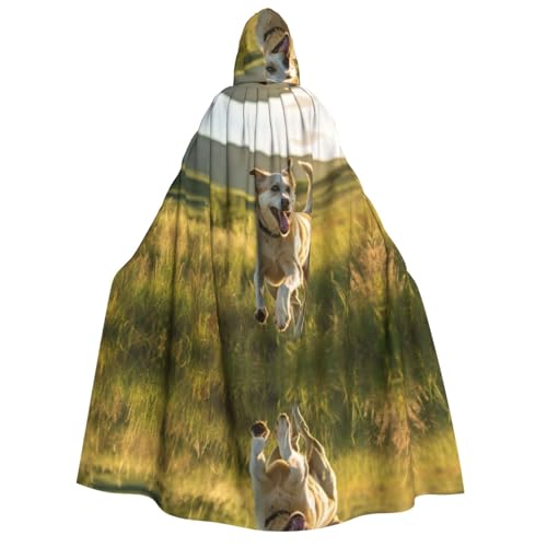 Uni Umhang mit Kapuze Halloween Cosplay Kostüm Gothic Ritter Kostüm Uni Umhang mit Kapuze Halloween Cosplay Kostüm Gothic Ritter Kostüm von Hgvcse