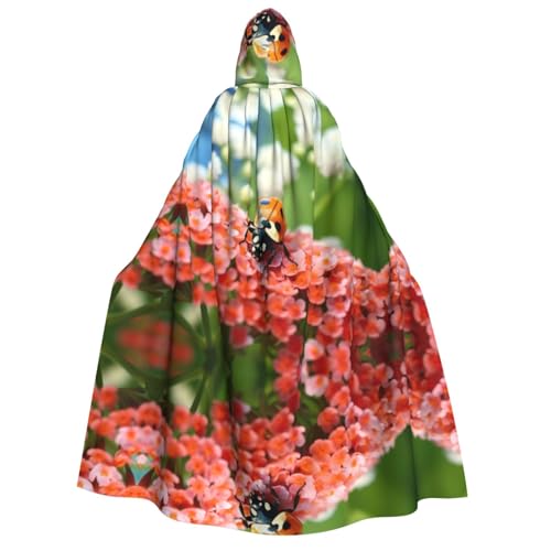 UnisexLadybug Kapuzenumhang Umhang Halloween Cosplay Kostüme Ritter Goth's seltsame Kleidung Robe von Hgvcse