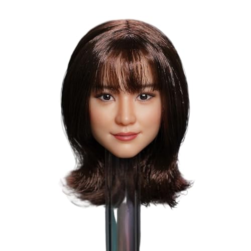HiPlay 1/6 AI Beauty Weiblicher Kopf-Skulptur SDH047A für Actionfiguren Alter 15+. von HiPlay