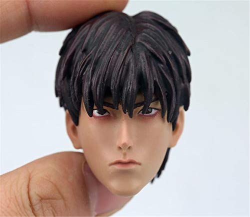 HiPlay 1/6 Scale Asian Male Figure Head Sculpt, Anime Style Handsome Sportmen, Doll Head for 12 inch Action Figure HS013 (D) von HiPlay
