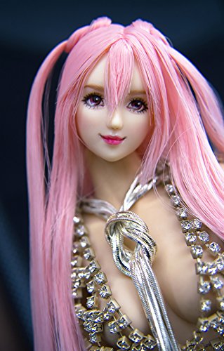 HiPlay 1/6 Scale Female Figure Head Sculpt, 100% Handmade & Customized Makeup, Beauty Charming Girl Doll Head for 12" Action Figure TBLeague/Obitsu/JIAOU CDH18 (Natural Skin) von HiPlay