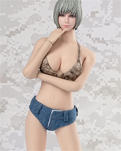 HiPlay 1/6 Scale Figure Doll Clothes, Hot Girl Suit, Tight-Fitting Top+Shorts Outfit Costume for 12 inch Female Action Figure Phicen/TBLeague CM227(TCT-027B) von HiPlay