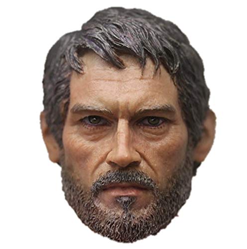 HiPlay 1/6 Scale Male Figure Head Sculpt, Handsome Men Tough Guy, Doll Head for 12 inch Action Figure HS024 (F) von HiPlay