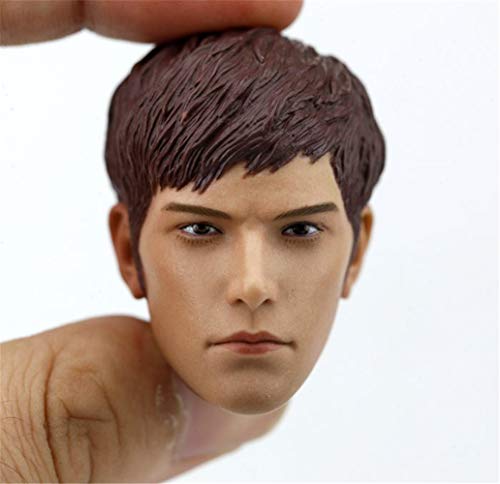 HiPlay 1/6 Scale Male Figure Head Sculpt, Handsome Men Tough Guy, Doll Head for 12 inch Action Figure HS040 (D) von HiPlay