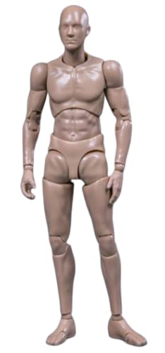 HiPlay 1:12 Scale Male Action Figure Body - Flexible and Multi-Articular Mobility (DPS01 Drawman) von HiPlay