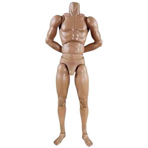 HiPlay COOMODEL 1/6 Hautfarbe Standard Muskelarm Männlicher Gelenkiger BD008 Actionfigur Muskelkörper von HiPlay