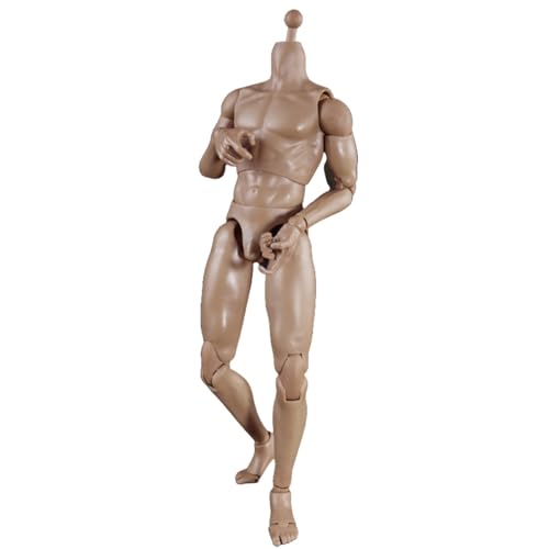 HiPlay COOMODEL 1/6 Hautfarbe Standard Muskelarm Männlicher Gelenkiger BD009 Actionfigur Muskelkörper von HiPlay
