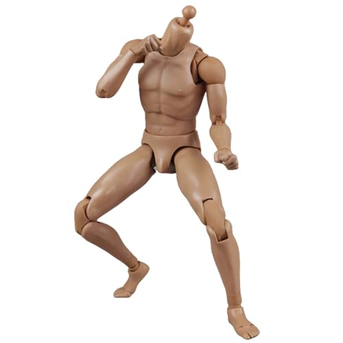 HiPlay COOMODEL 1/6 Schmale Schultern 2.0 Hautfarbe Standard Männlicher Gelenkiger BD001 Actionfigur Körper von HiPlay