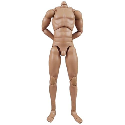 HiPlay COOMODEL 1/6 Schmale Schultern 2.0 Hautfarbe Standard Männlicher Gelenkiger BD002 Actionfigur Körper von HiPlay