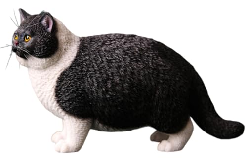 HiPlay JXK Collectible Cat Figure: British Shorthair Cat, Expertly Hand-Painted, Lifelike, Safe Resin, 1:6 Scale Miniature Animal Figurine JXK064C von HiPlay